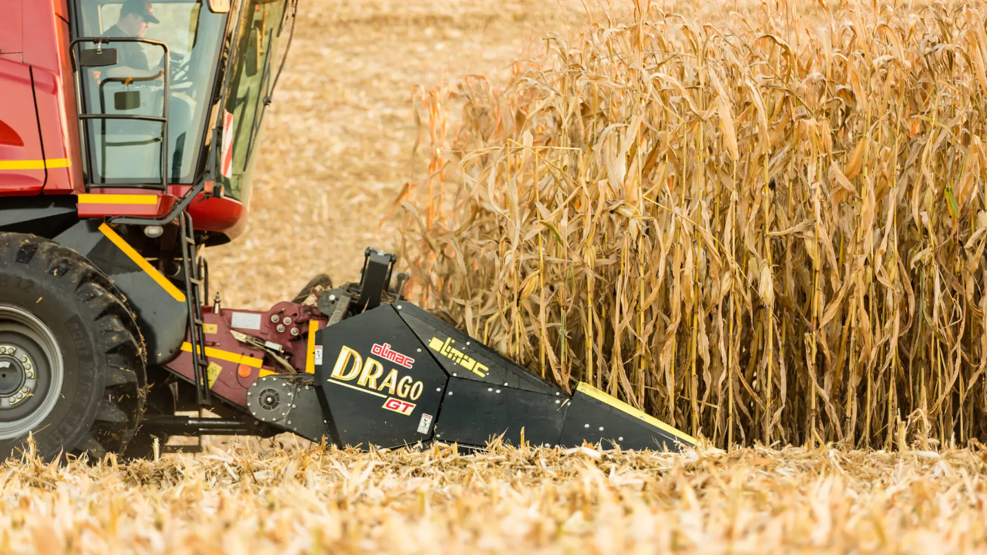 Кукурузная жатка и Жатка для уборки подсолничника Olimac DRAGO